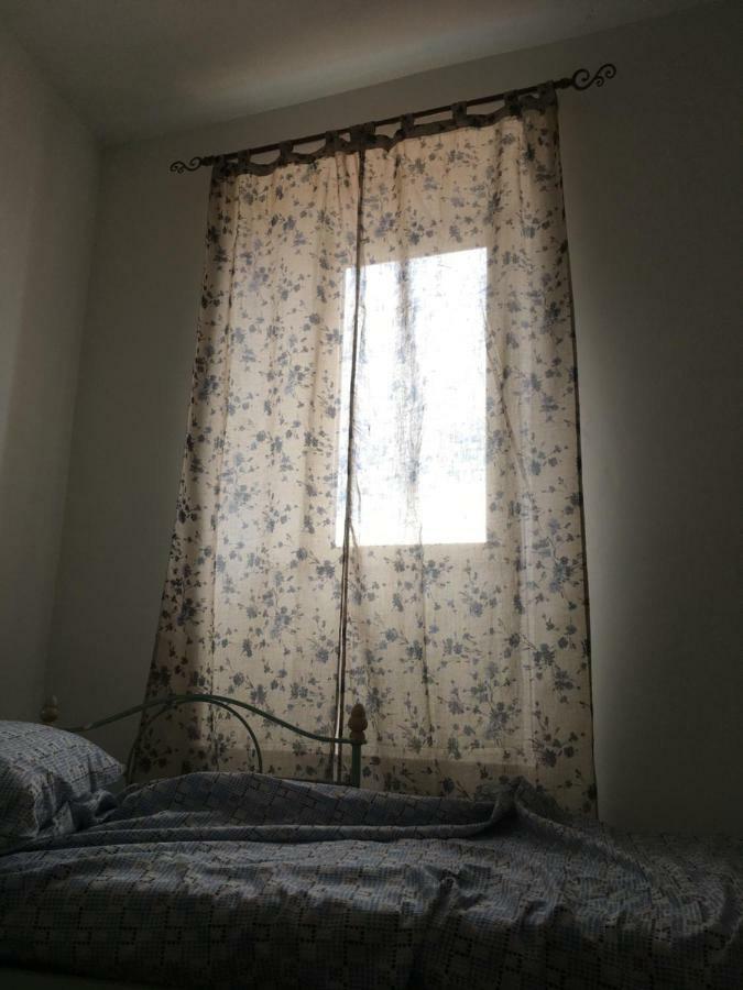 Whole Holiday Home Apartment Splendid Civitavecchia Da Pamino & Priscilla Eksteriør billede